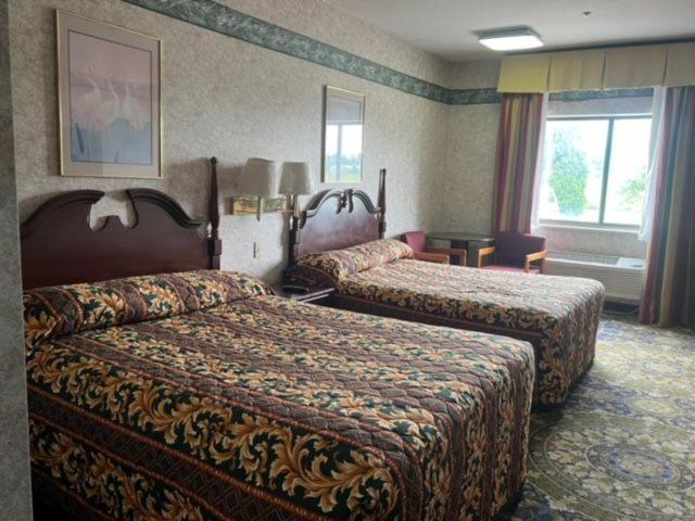 Garden Inn New Castle Екстер'єр фото